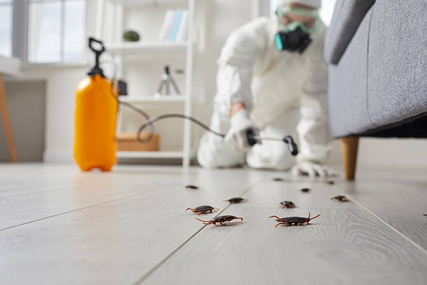 Commercial Kitchen Cockroach Control in Evendale